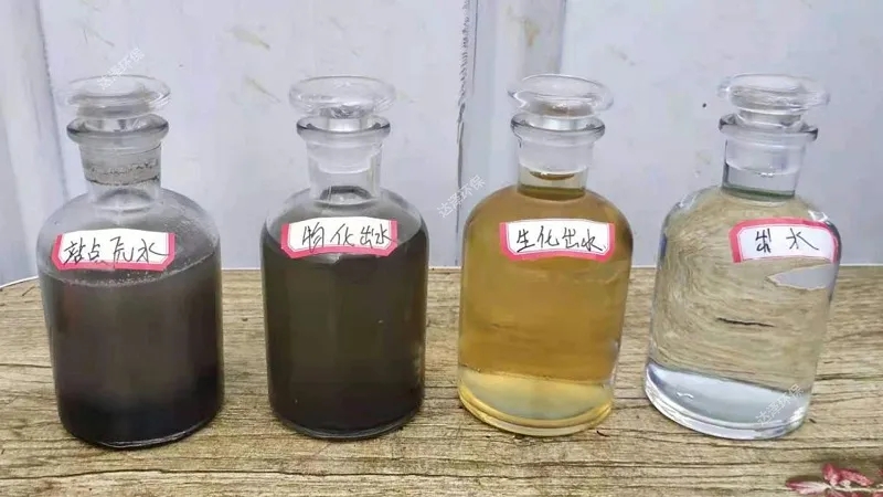微信截圖_20240923103224